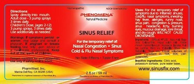 Image Description (Sinus Relief)